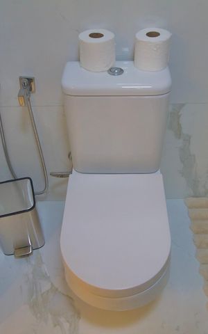 Apartamento para alugar com 320m², 4 quartos e 2 vagasBanheiro da Suite 1