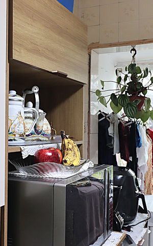 Apartamento à venda com 58m², 2 quartos e sem vagaCozinha