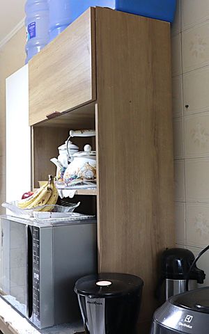 Apartamento à venda com 58m², 2 quartos e sem vagaCozinha