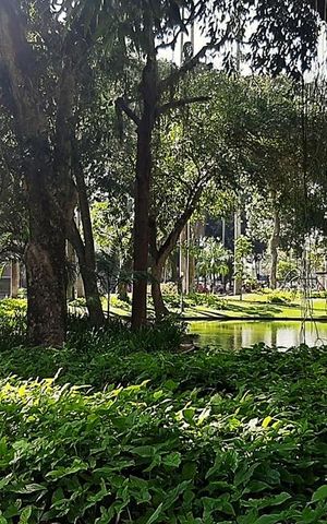Studio à venda com 36m², 1 quarto e sem vaga Studio à venda com 36m², 1 quarto e sem vagaÁrea externa