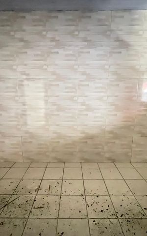 Casa à venda com 255m², 2 quartos e 2 vagas