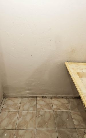Studio para alugar com 15m², 1 quarto e sem vagaStudio