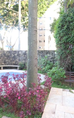 Apartamento à venda com 57m², 2 quartos e 1 vagaÁrea comum - Pracinha