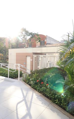 Apartamento para alugar com 53m², 2 quartos e sem vagaÁrea comum 