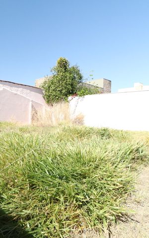 Casa para alugar com 120m², 3 quartos e 3 vagasQuintal