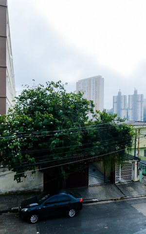 Casa à venda com 540m², 3 quartos e 20 vagasVista da Sala