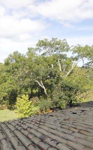 Casa para alugar com 236m², 6 quartos e 2 vagasQuarto 4
