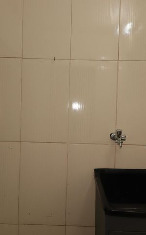 Casa para alugar com 454m², 4 quartos e 8 vagasÁrea de Serviço