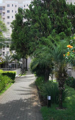 Apartamento à venda com 56m², 2 quartos e 1 vagaÁrea comum