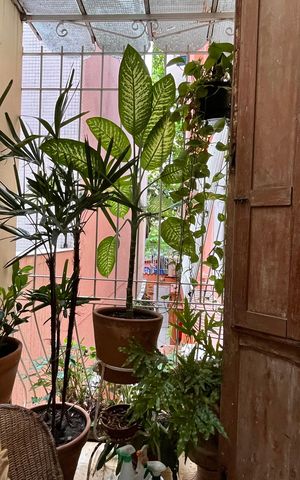 Apartamento à venda com 121m², 3 quartos e 1 vaga Apartamento à venda com 121m², 3 quartos e 1 vagaVaranda da suíte 2