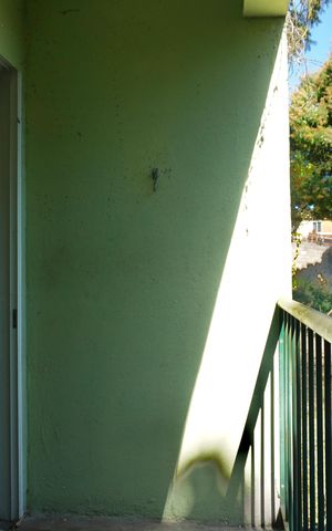 Studio para alugar com 42m², 1 quarto e sem vaga Studio para alugar com 42m², 1 quarto e sem vagaVaranda da Suíte