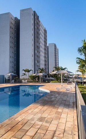 Apartamento à venda com 71m², 3 quartos e 1 vaga Apartamento à venda com 71m², 3 quartos e 1 vagaPiscina