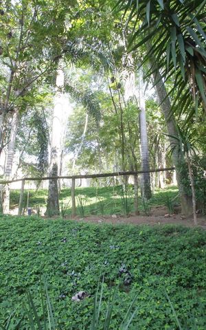 Apartamento à venda com 128m², 3 quartos e 2 vagasBosque