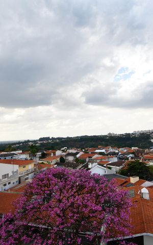 Apartamento à venda com 80m², 2 quartos e 1 vagaVista do quarto 1