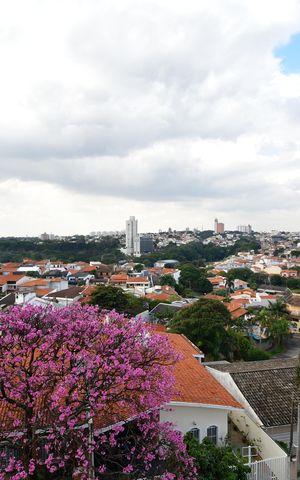 Apartamento à venda com 80m², 2 quartos e 1 vagaVista do quarto 1