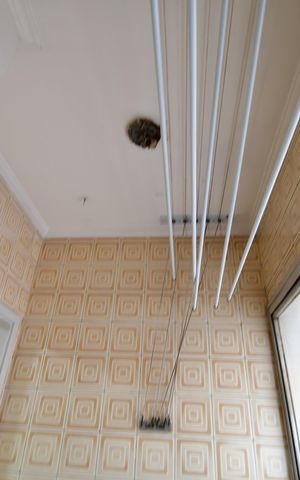 Apartamento à venda com 80m², 2 quartos e 1 vagaÁrea de Serviço