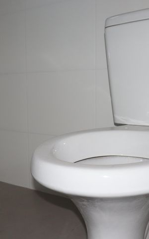 Apartamento à venda com 53m², 2 quartos e 1 vagaBanheiro Social 