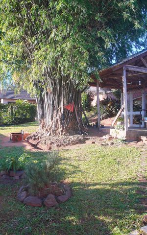 Casa para alugar com 50m², 2 quartos e 1 vagaQuintal