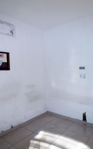 Casa para alugar com 392m², 6 quartos e 3 vagasQuarto 1