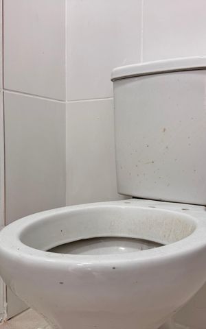 Apartamento para alugar com 45m², 2 quartos e 1 vaga Apartamento para alugar com 45m², 2 quartos e 1 vagaBanheiro Social