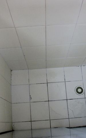 Apartamento à venda com 65m², 3 quartos e 1 vagaBanheiro da Suíte 