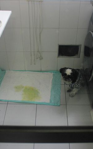 Apartamento à venda com 65m², 3 quartos e 1 vagaLavanderia 