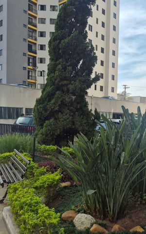 Apartamento para alugar com 68m², 2 quartos e 2 vagas Apartamento para alugar com 68m², 2 quartos e 2 vagasÁrea comum