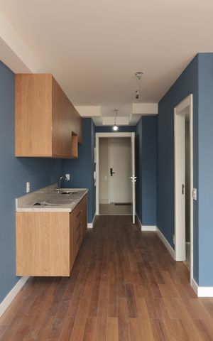 Studio para alugar com 30m², 1 quarto e sem vagaStudio
