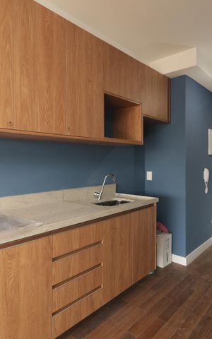 Studio para alugar com 30m², 1 quarto e sem vagaCozinha