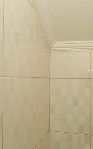 Casa de condomínio à venda com 62m², 2 quartos e 1 vagaLavabo