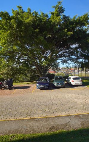 Apartamento para alugar com 54m², 2 quartos e 1 vagaVista do Quarto 2