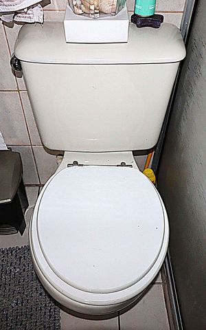 Apartamento à venda com 107m², 3 quartos e sem vagaBanheiro Social
