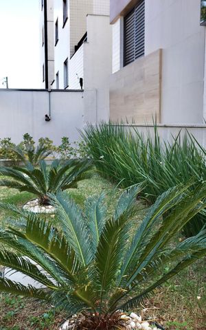 Apartamento à venda com 180m², 3 quartos e 2 vagas Apartamento à venda com 180m², 3 quartos e 2 vagasÁrea comum - Jardim