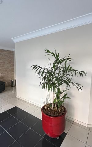 Apartamento à venda com 79m², 3 quartos e 2 vagas Apartamento à venda com 79m², 3 quartos e 2 vagasHall de entrada