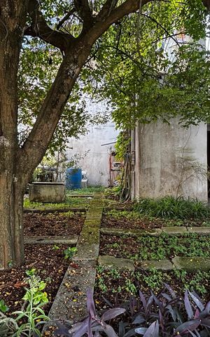 Casa para alugar com 580m², 4 quartos e 30 vagas Casa para alugar com 580m², 4 quartos e 30 vagasJardim