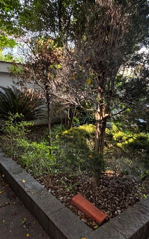 Casa para alugar com 580m², 4 quartos e 30 vagas Casa para alugar com 580m², 4 quartos e 30 vagasQuintal