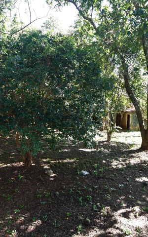 Casa para alugar com 1000m², 4 quartos e 3 vagasQuarto 3 - Vista