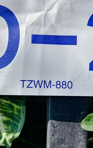 Apartamento à venda com 60m², 2 quartos e 1 vagaTZWM-880