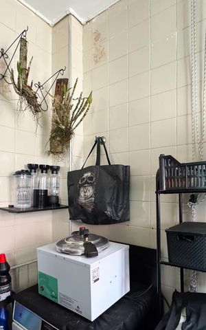 Apartamento para alugar com 56m², 2 quartos e 1 vaga Apartamento para alugar com 56m², 2 quartos e 1 vagaÁrea de Serviço