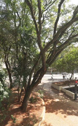 Apartamento à venda com 45m², 1 quarto e sem vagaSala