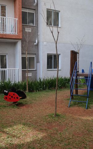 Apartamento para alugar com 39m², 2 quartos e sem vagaÁrea Comum