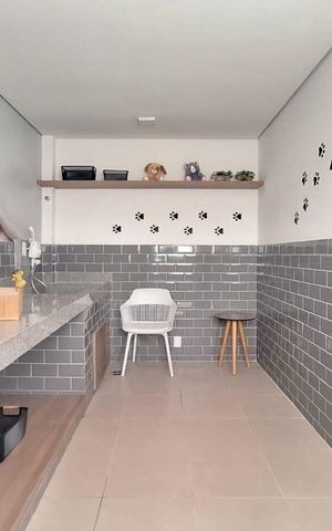 Apartamento para alugar com 27m², 1 quarto e sem vaga Apartamento para alugar com 27m², 1 quarto e sem vagaPet Place