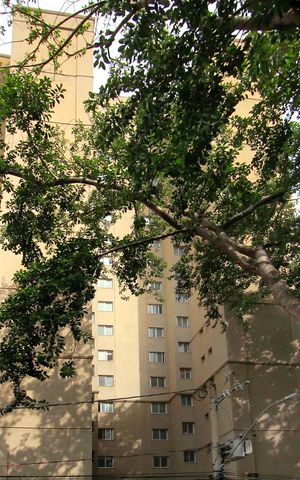 Apartamento à venda com 250m², 4 quartos e 3 vagasFachada