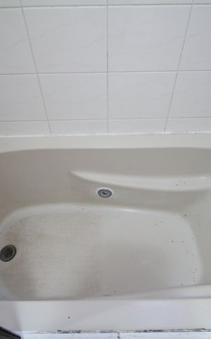 Apartamento para alugar com 70m², 2 quartos e 2 vagasBanheiro da Suíte - Banheira