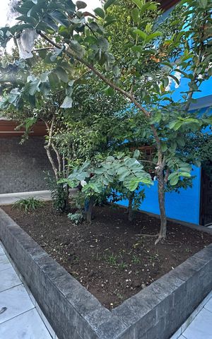 Casa à venda com 295m², 5 quartos e 2 vagasQuintal