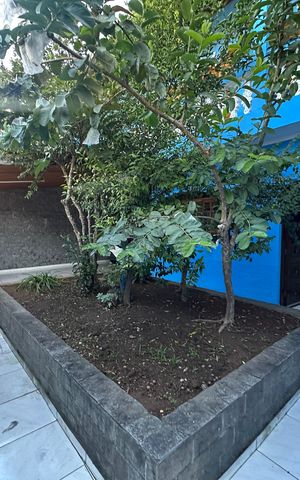 Casa à venda com 295m², 5 quartos e 2 vagasQuintal