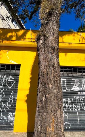 Casa à venda com 200m², 3 quartos e 6 vagasGaragem