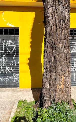 Casa à venda com 200m², 3 quartos e 6 vagasGaragem