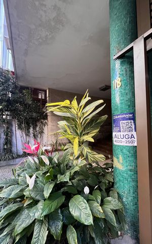 Apartamento para alugar com 218m², 3 quartos e 1 vaga