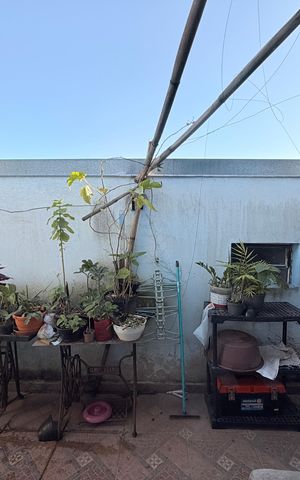 Casa à venda com 109m², 3 quartos e 3 vagasÁrea de Serviço